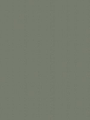 261 Dark Grey Techno Steel TST