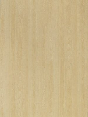 3062 Alberta Maple (SUD)