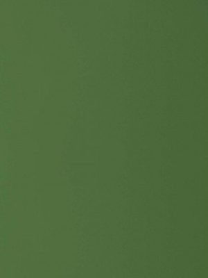 3599 Cyprus GROOVE GRV