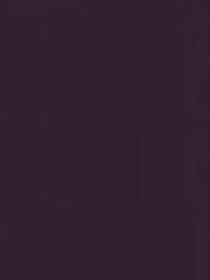 3634 Black Current NOVEL GLOSS NGL