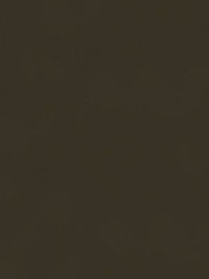 3651 Clay NOVEL GLOSS NGL