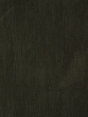 3794 Concrete Raven NOVEL GLOSS NGL