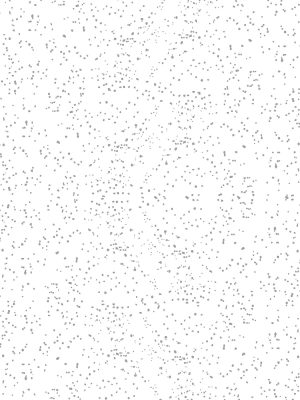 63503 Orion Pearl White (NGL)