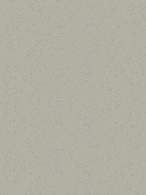 63553 Orion Nickel Grey (NGL)