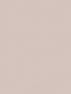 Greenlam 141 Beige Fawn New is used for wall cabinets, wall panels, surface countertops, table countertops, kitchen cabinets, furniture, modern interior design, office furniture & commercial spaces.