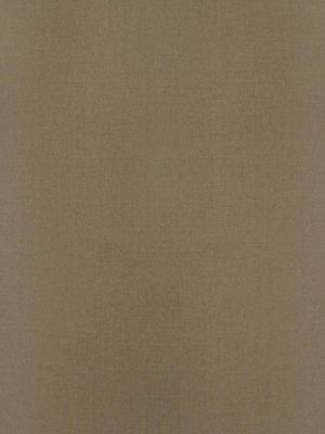 Greenlam_Abstracts_5570-bronze-mesh