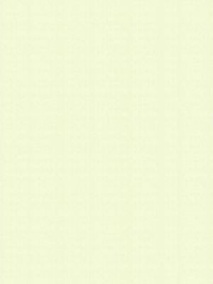 Greenlam_Solids_124-mysore-ivory -tst