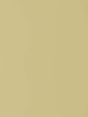 Greenlam_Solids_141-beige